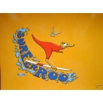 Ford 1969 Surfer Roo XW - Car Restoration -  Gold Coast - Brisbane - Senko Auto Restoration